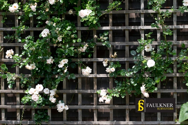 Can I put trellis on my Neighbours garage wall? 2 Do you want to adapt your neighbours garage door and add a trellis Norwich? Talk to Faulkner Surveyor Norwich